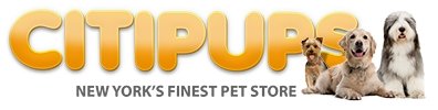 Citipups