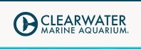 Clearwater Marine Aquarium