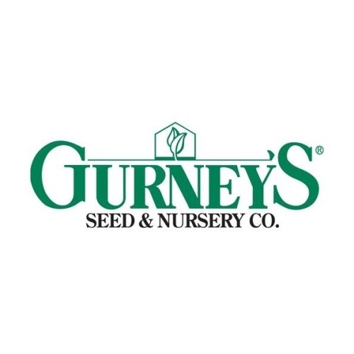 Gurney's