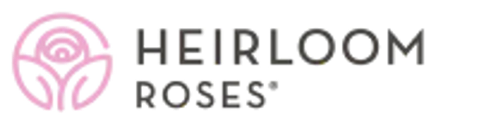 Heirloom Roses
