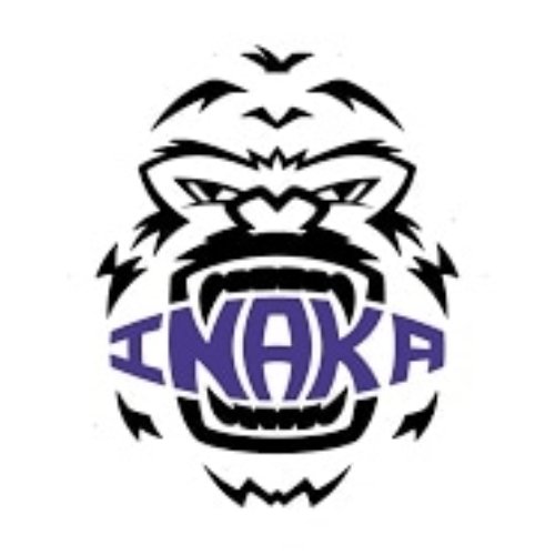 Inaka Power