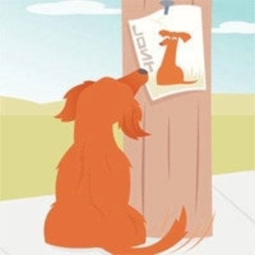 LostMyDoggie.com