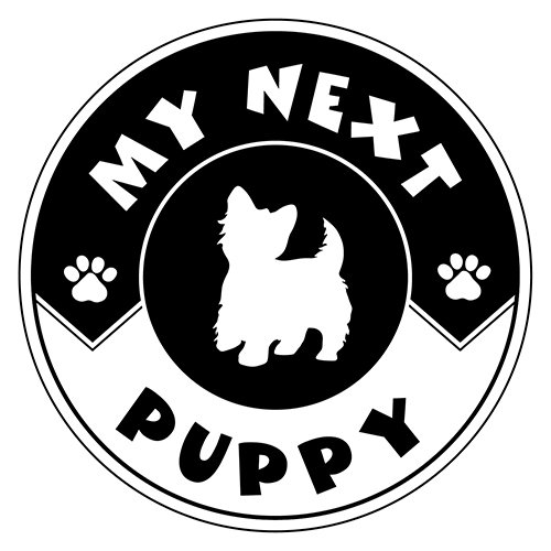 My Next Puppy