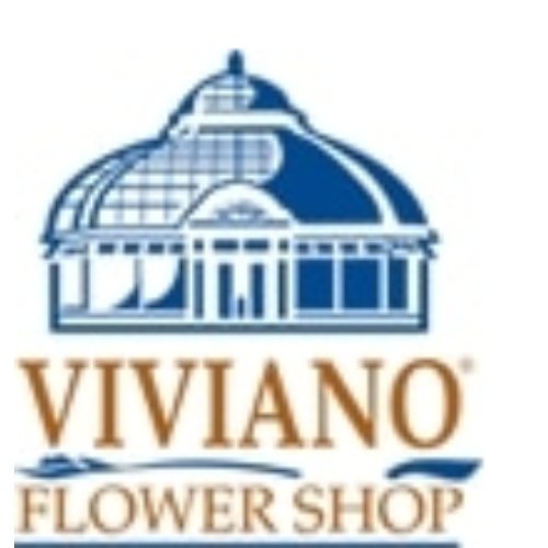 Viviano