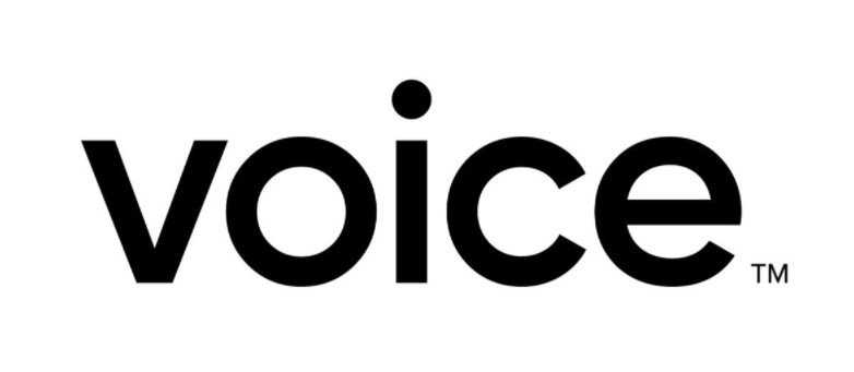 Voice AI